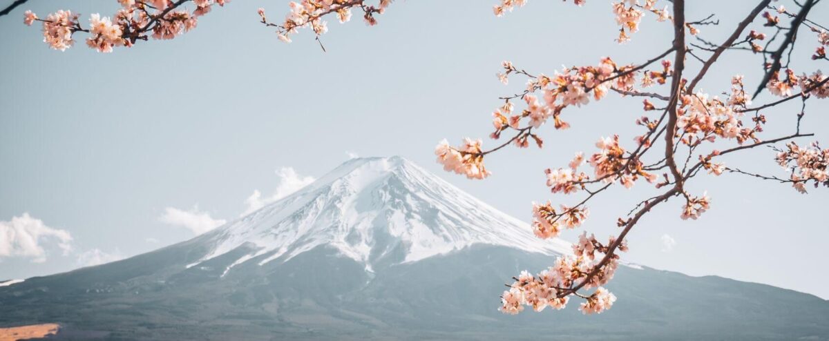 2025 年最新 8 大日本 eSIM 推薦平台比較、流量與價格總整理