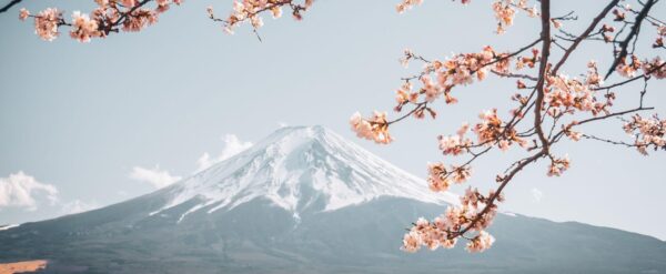 2025 年最新 8 大日本 eSIM 推薦平台比較、流量與價格總整理