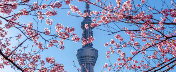 日本入境與簽證全攻略